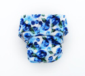 AIO BIRDSEYE OS print AIO BIRDSEYE OS print