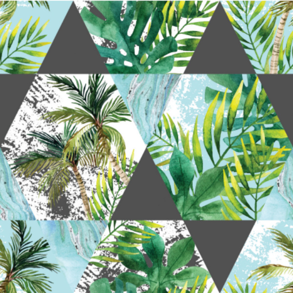 BASIC Cover OS BASIC Cover OS