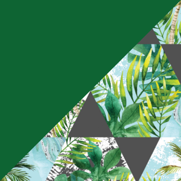 BASIC Cover OS BASIC Cover OS