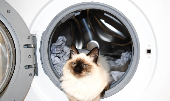Washing without washing machine