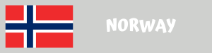FLAGI-DYSTRYBUTORow(1).png